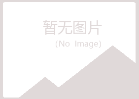 湛江霞山半雪化学有限公司